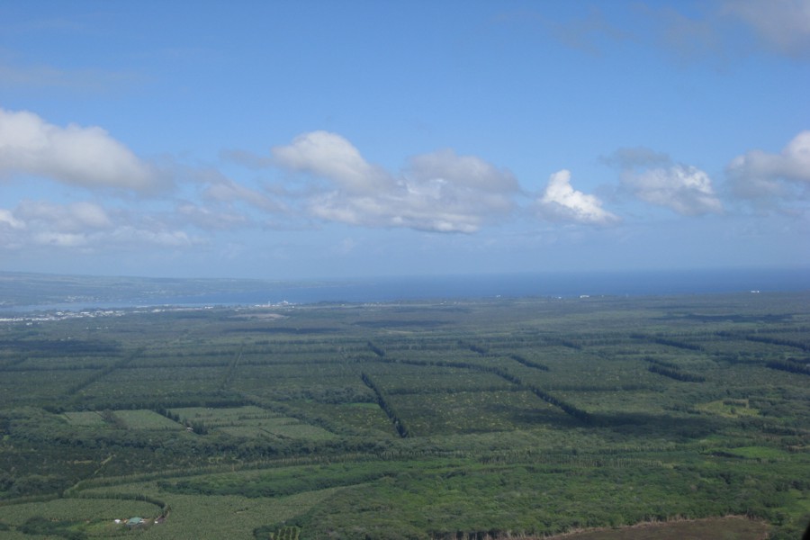 ../image/big island spectacular macadamia nut farm 1.jpg